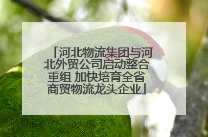 河北物流集团与河北外贸公司启动整合重组 加快培育全省商贸物流龙头企业